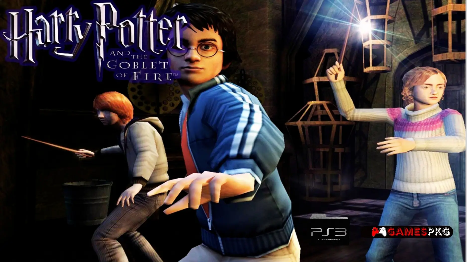 Harry Potter and the Goblet of Fire - Ps3 Pkg