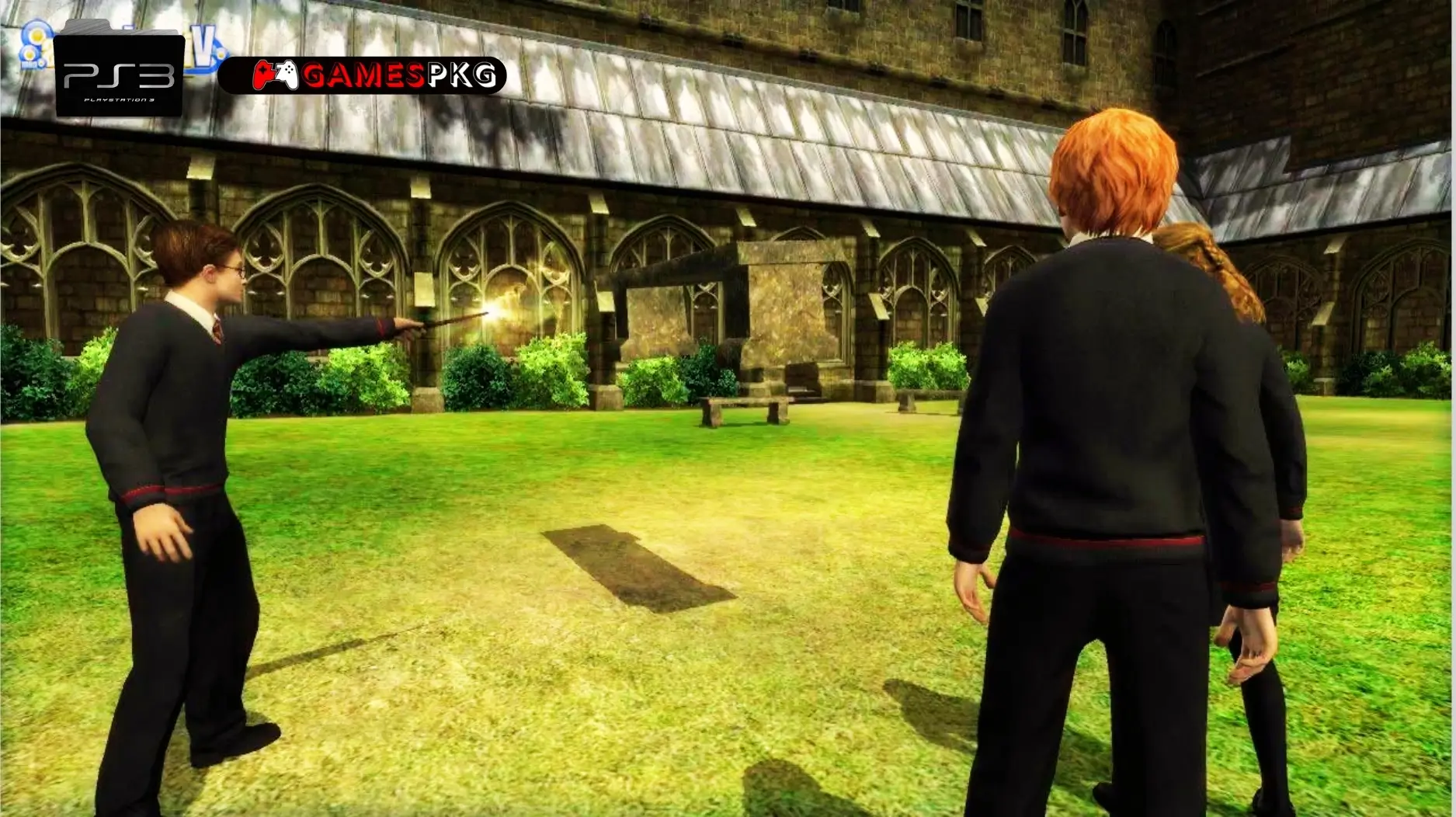 Harry Potter and the Order of the Phoenix - Ps3 Pkg